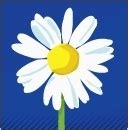 Marguerite B.jpg