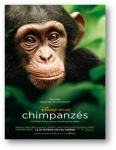 Chimpanzés.jpg